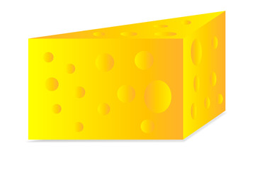 Cheese on white background