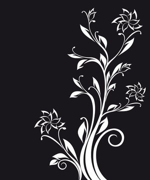 White ornate floral pattern isolated on black
