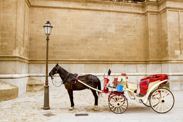 Carriage with horse in Majorca cathedral in Palma