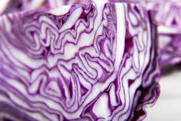Obraz premium Purple Cabbage