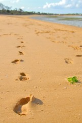 Footprint in the sand.