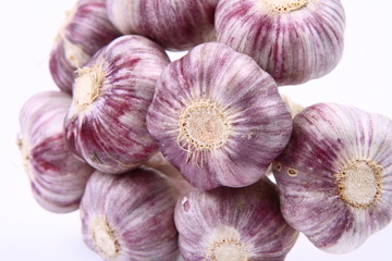Bunch of garlic on a white background