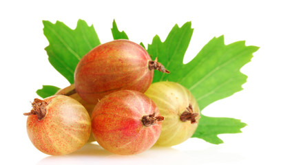 fresh gooseberries and leaves isolated on white