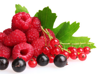 fresh raspberries, blackcurrant,  and leaves isolated on white