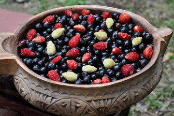 Летняя ягода