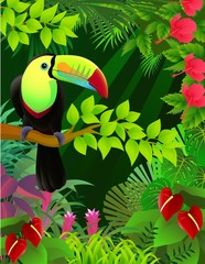 Obraz premium ilustracji wektorowych tukan w tropikalnej dżungli