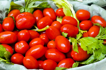 tray of tomatoes