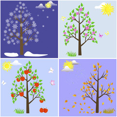 Trees in four seasons.