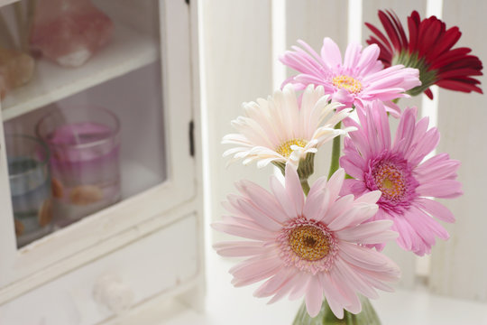 Pink gerbera