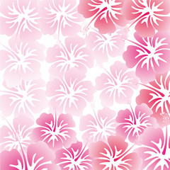 Fototapeta na wymiar hibiscus background
