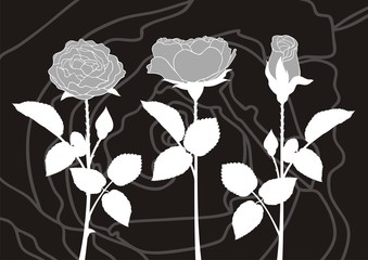 Roses silhouettes