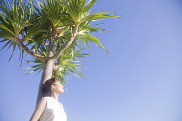 晴天の中椰子の木に寄りかかり目を瞑る女性