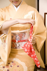 帛紗をたたむ女性の手元