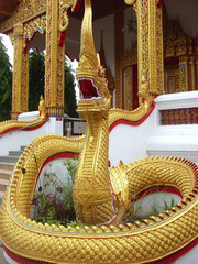 Naga at Dangdeung temple, Chiangmai, Thailand