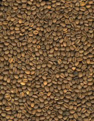 coffe seeds