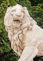 Naklejka premium lion rugissant: statue jardin public parisien