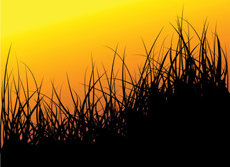 Green vector grass background © Petr Vaclavek