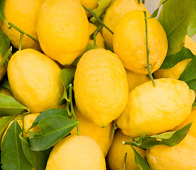 Lemons