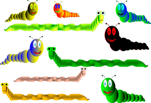 Worms and caterpillars on a white background