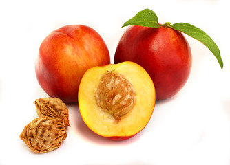 Isolated fruits - Nectarines