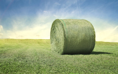 Agriculture © olly