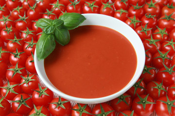 Frische Tomatensuppe