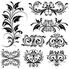 Floral Design Element