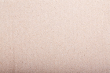 Fototapeta premium Paper