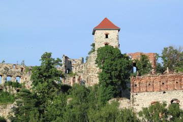 Fototapeta na wymiar Medieval castle ruin