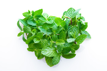 ハートのスペアミント © Tsuboya