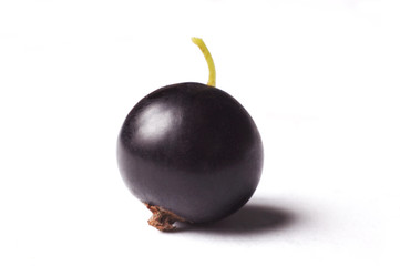 black currant isolated on white