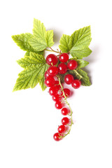red currant isolated on white