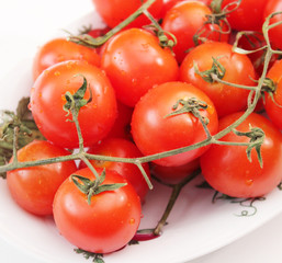 Tomaten