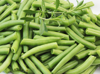 Buschbohnen