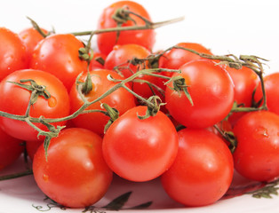Tomaten