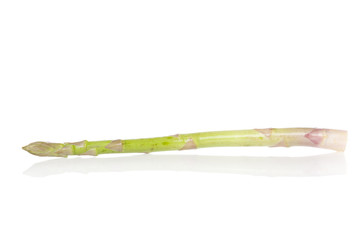 Fresh green asparagus
