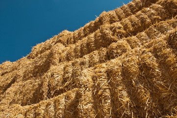 ballots de paille après la moisson