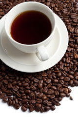 Coffee Bean