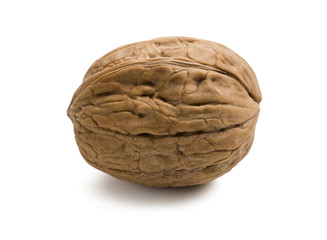 One walnut