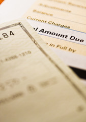 Check and credit card statement