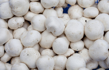 champignons deParis