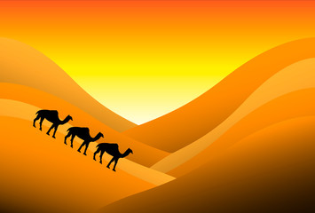 Sunset in desert with camels