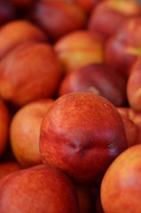 pesche