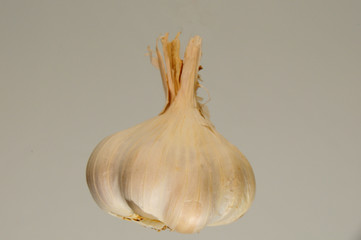 Knobi