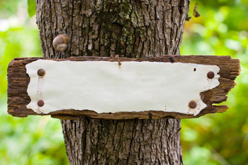 Weather-beaten old sign in the woods