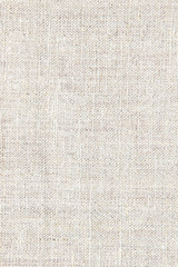 lihgt natural linen texture for the background