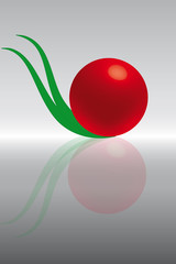 Logo Frucht Energie