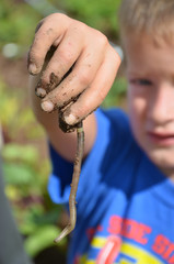 Little Boy with a Worm