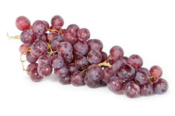 liegende Weinrebe mit roten Trauben