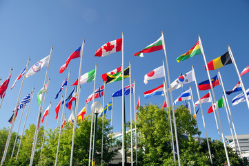 Flags of the World